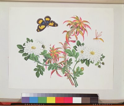 Dos tallos de amaranto y crisantemo con una avispa y una mariposa de Chinese School